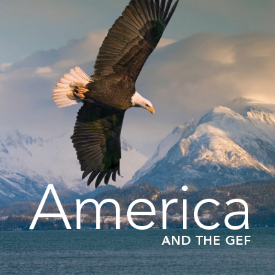 America and the GEF