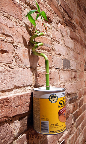 Tiki Pop