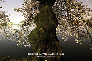 BFSFCU Annual Report 2011